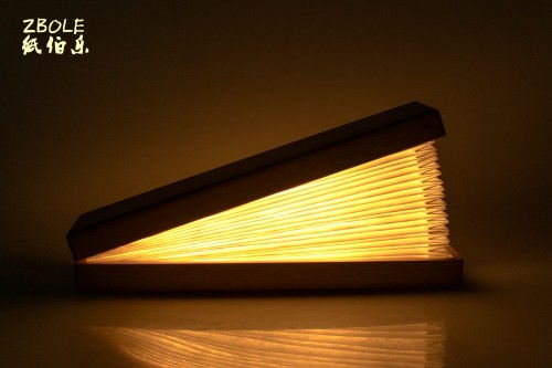 紙伯樂節(jié)慶用品訪談回顧,特殊外觀設(shè)計展現(xiàn)燈具別樣魅力